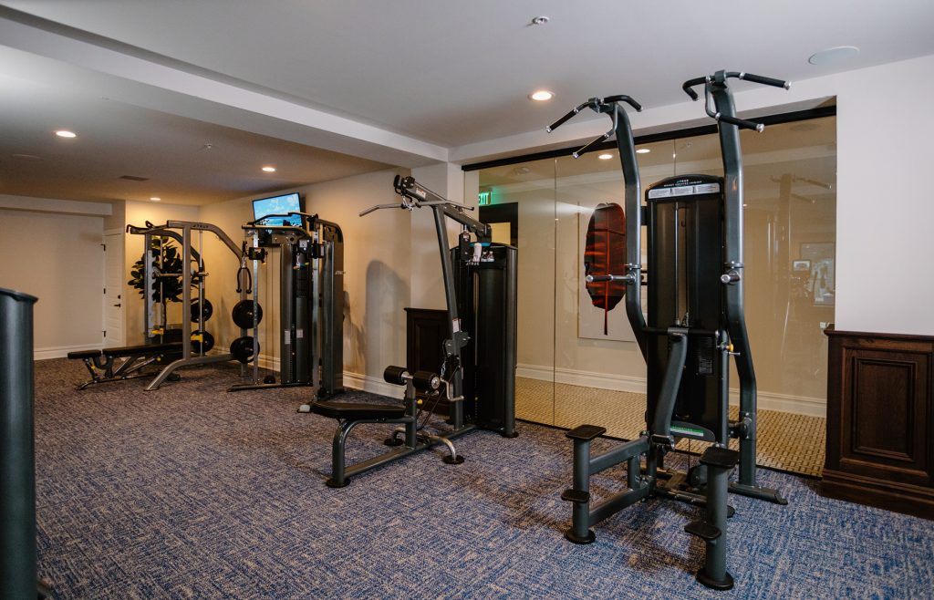 Luxe 88 Fitness Center Weight Training Machines