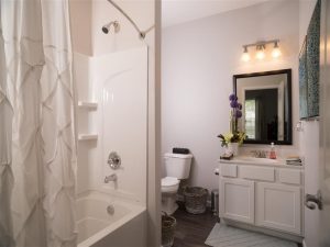 Kendall Park Model Unit bathroom with shower/bath in forefront and vanity in back
