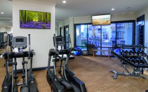 Essex Fitness Center with ellipticals and free weights in forefront with mounted televisions and view to outdoor area